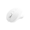 Matias Wired USB-C PBT Mouse White